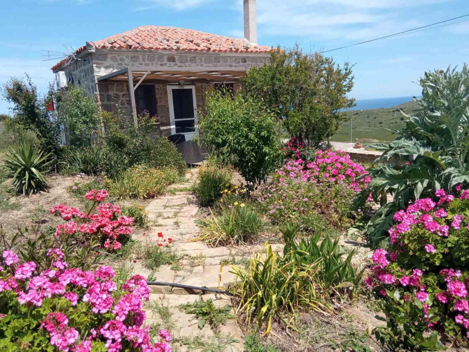 Cozy House With Amazing Sea View Apartment Kaminia  Exterior photo